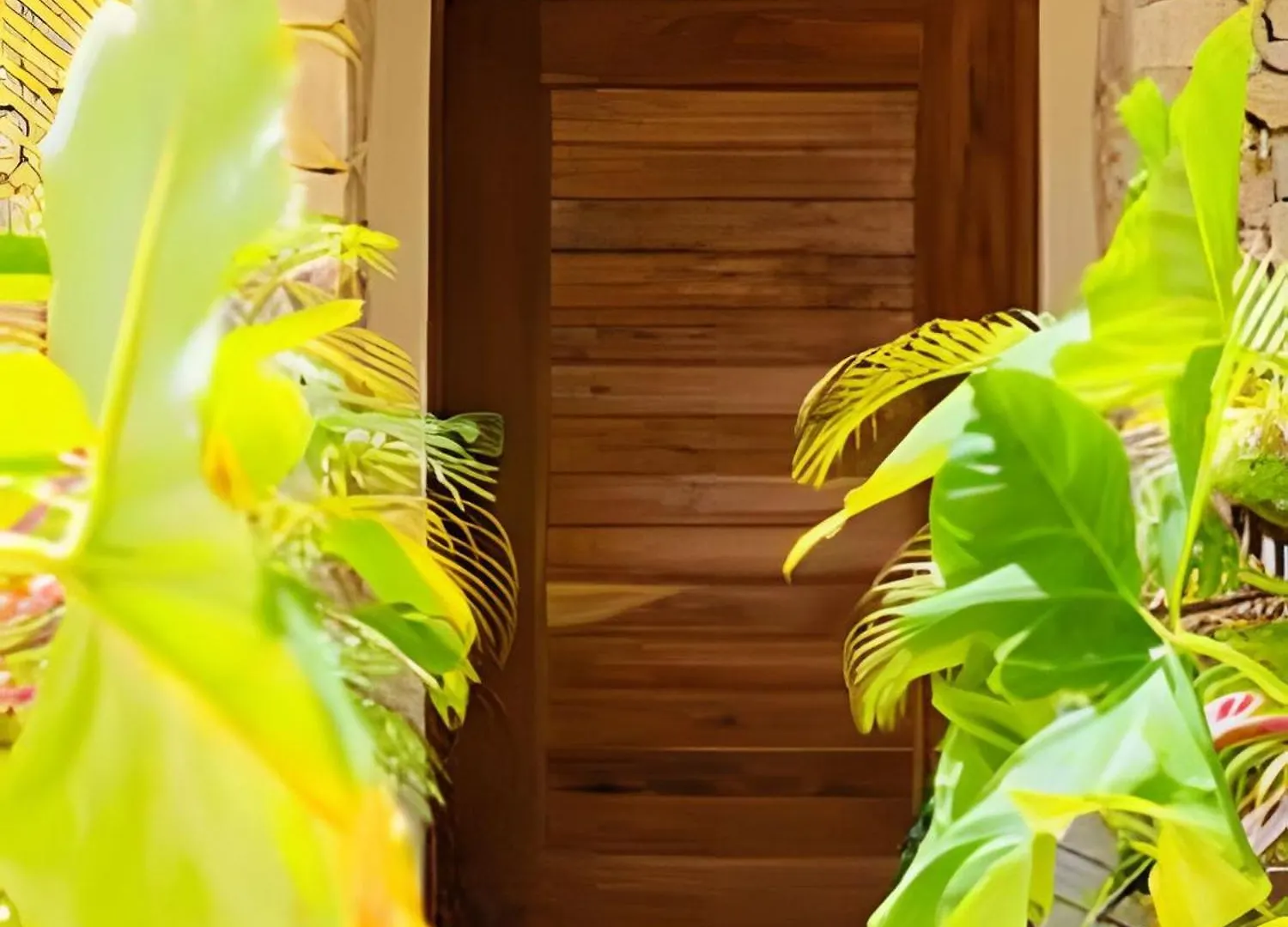 Appartement Casa De Piedra - Departamentos Bacalar- Mexique